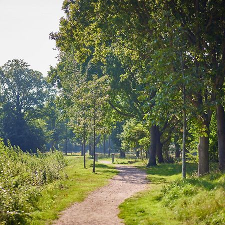 Villa Noordzee Ренессе Екстер'єр фото